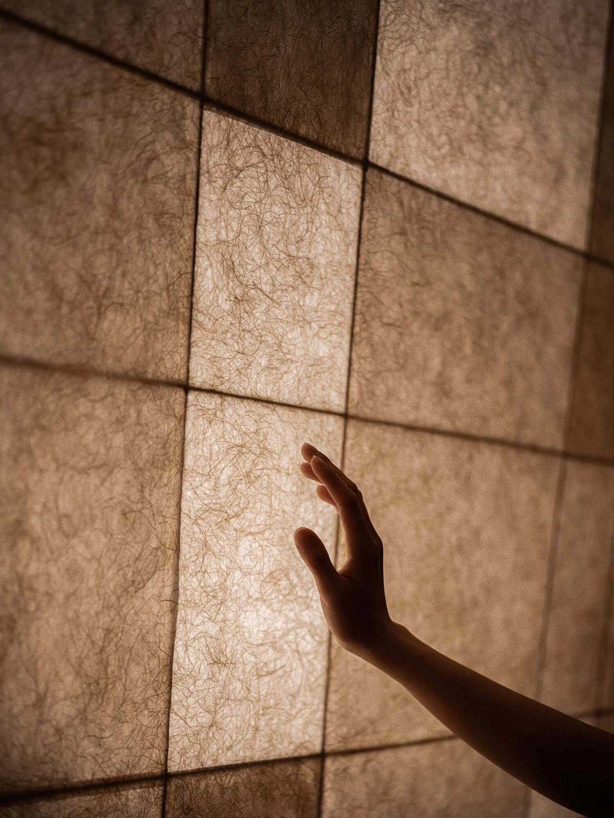 Inspired by nature’s seamless transitions